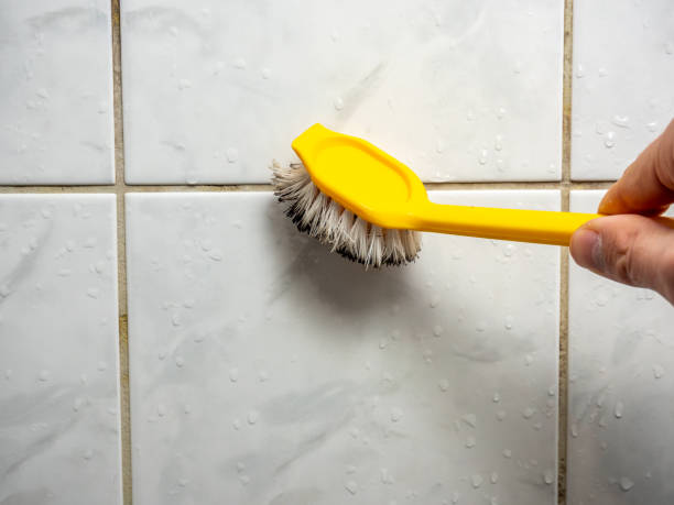 Best Mold Damage Repair  in Tappan, NY
