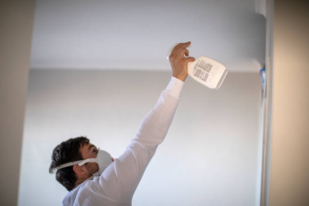 Best Best Mold Removal Companies  in Tappan, NY