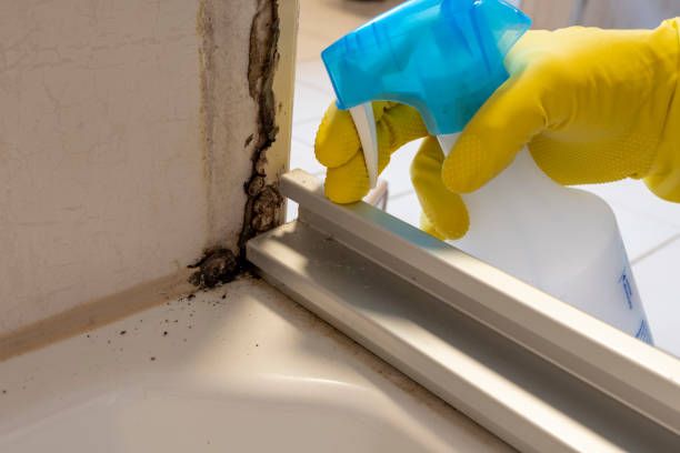 Best Commercial Mold Removal  in Tappan, NY