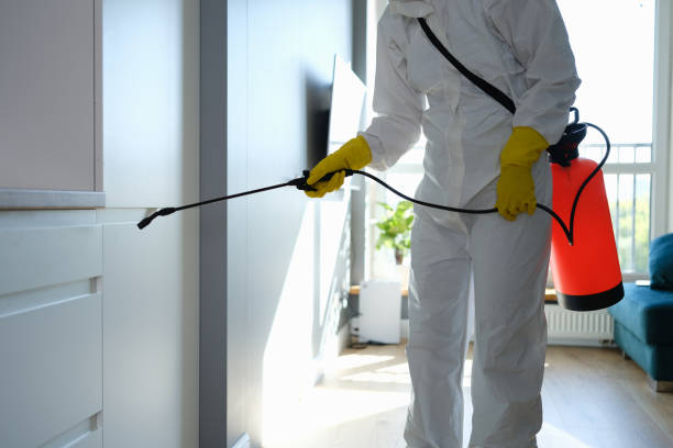 Best Office Mold Removal Services  in Tappan, NY