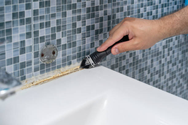 Best Local Mold Removal Service  in Tappan, NY